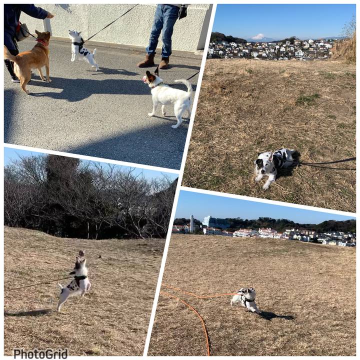 7a984f85 833a 4e10 a246 934156d6a318 1675042442624