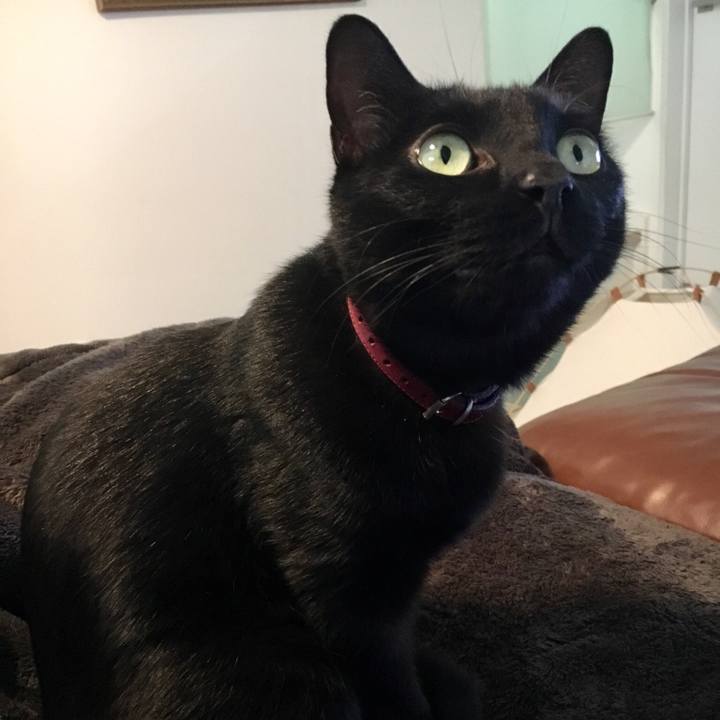 7a985d4c a09a 4119 9a91 a850b9708cb6 1556507743315