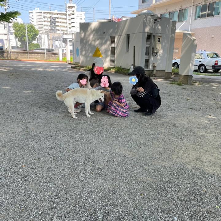 7a9863ab 76cc 4b2e abea 6c3a5489f3d9 1653412486019