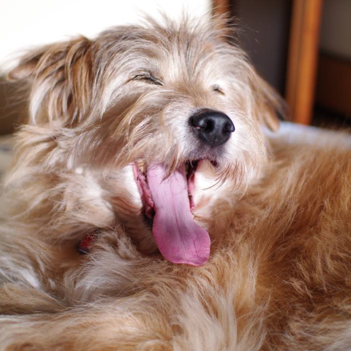 7a98767e 176c 478e 8fd0 4dfa44552bb9 1642163494732