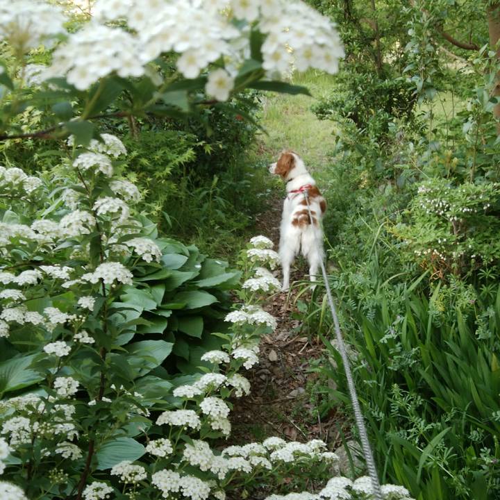 7a9886c3 ceb7 47d9 82ff 1d88d7b55a89 1524309831306