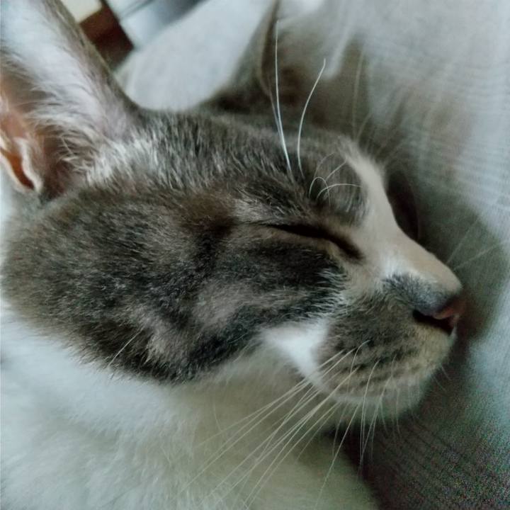 7a98c3db eee6 4f83 94e4 c6b4bc22d8e0 1618358577648