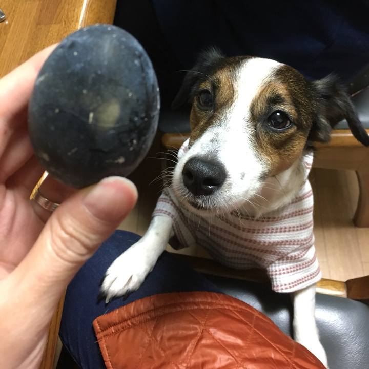 7a98e38d bcda 464c a101 79674a6415ce 1511520626771