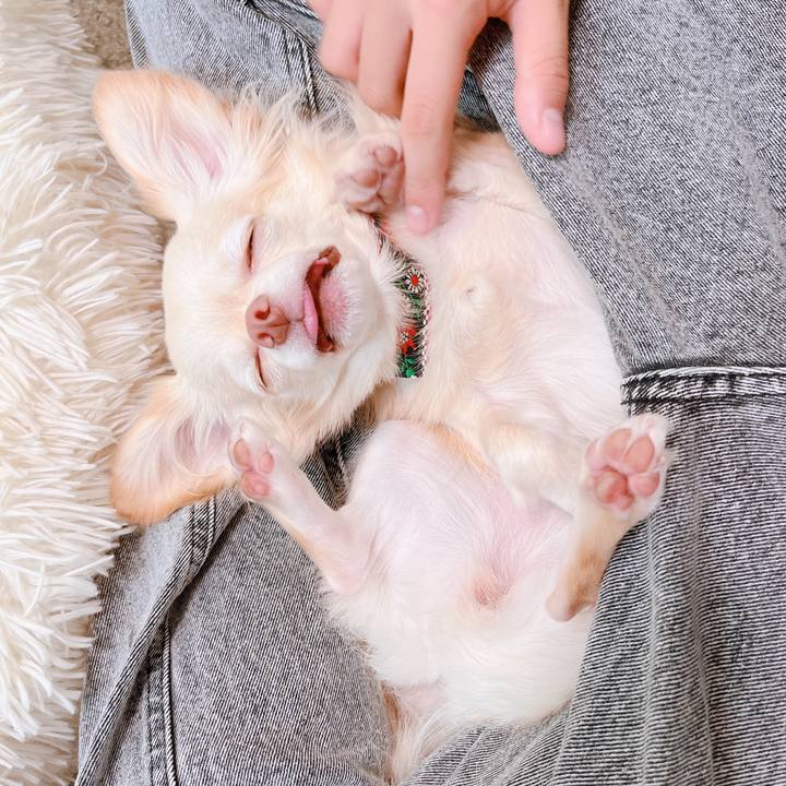 7a99125f f9f0 4988 83a8 3c12d8220c62 1661749320803