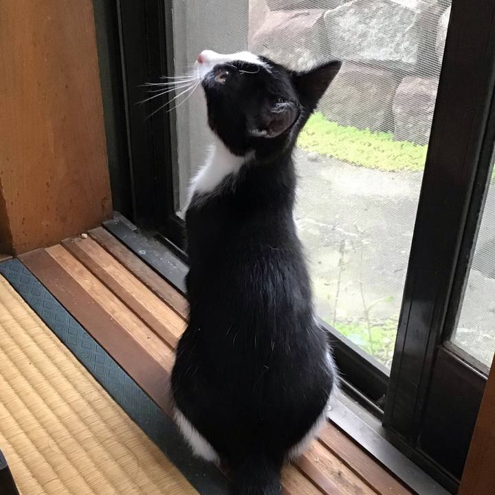 7a994dac d412 4d71 a29e 86924849361c 1625383195197