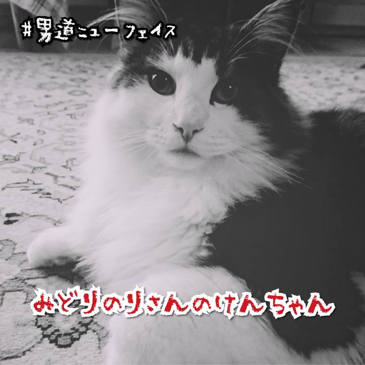 7a998b30 4890 4c37 b561 920e4c4631b4 1566383322517