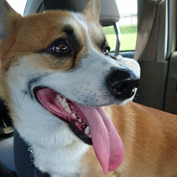 7a9a2be5 01e1 47ef aa7b 2cfbd442311e 1597195169452