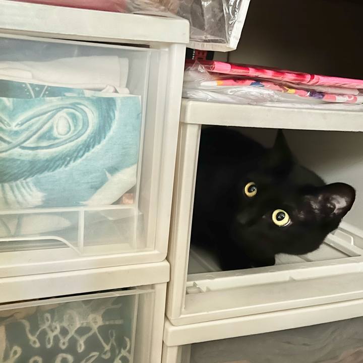 7a9a7164 4110 4c45 8c1b 02c1e7c28e54 1683281191539