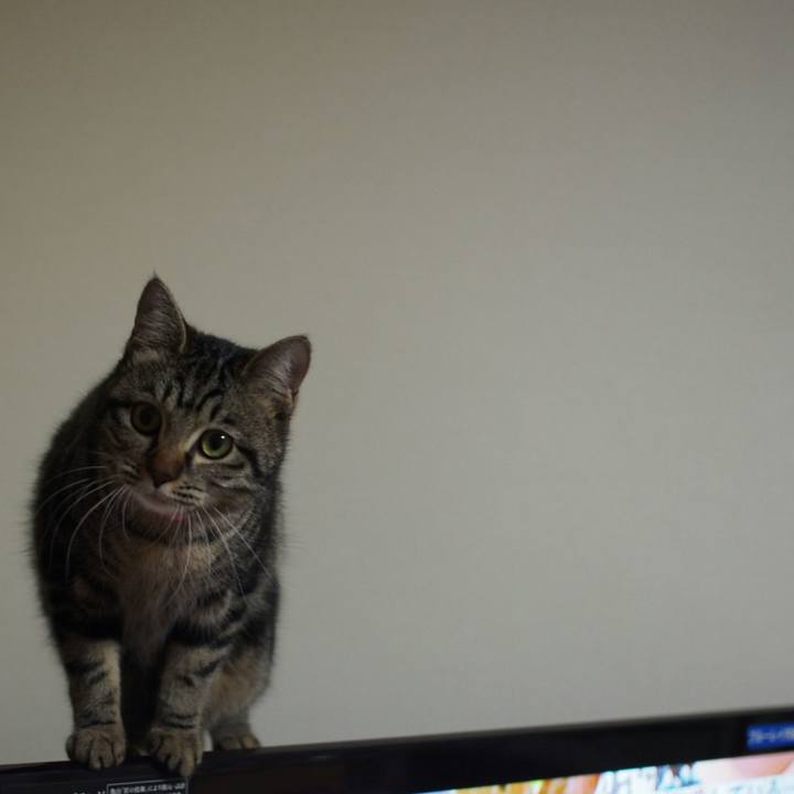 7a9a8528 1390 489c 99f6 1aba5f7deaa2 1517751928597