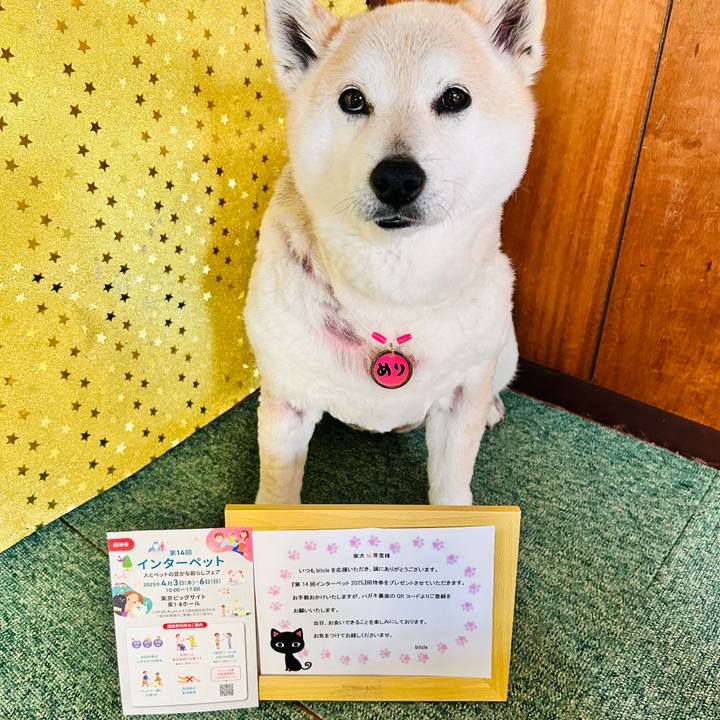 7a9a8dfb 9c33 4a99 bd8a 102d9cb958b8 1742881154717