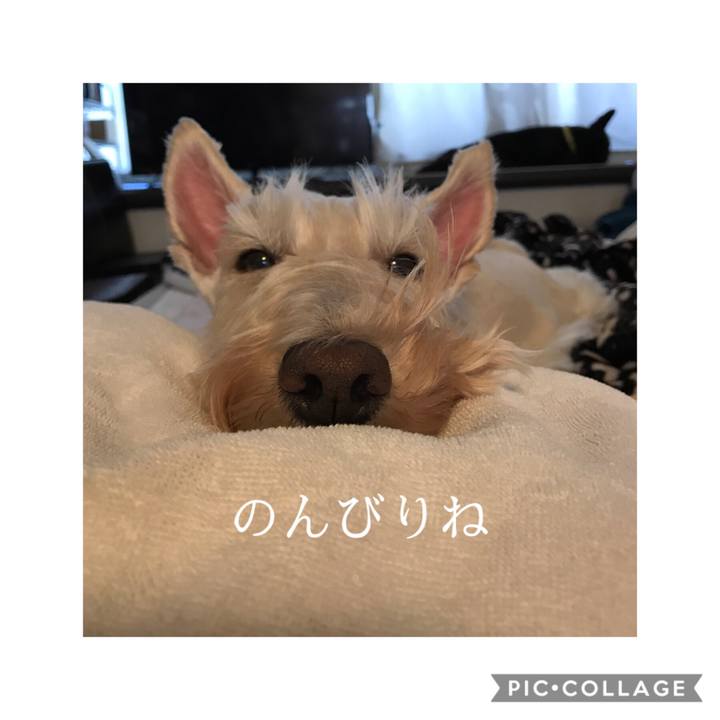 7a9a9079 5113 4cce 8f8f c607954384cc 1570932949147