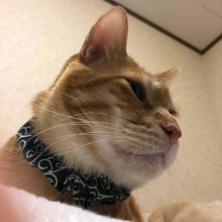 7a9ab9ac 5b43 43ca 9b30 72a33c10f463 1576072376257