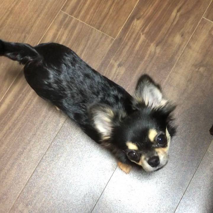 7a9add5a e539 4bf5 971d a6fb964a096d 1544789338249