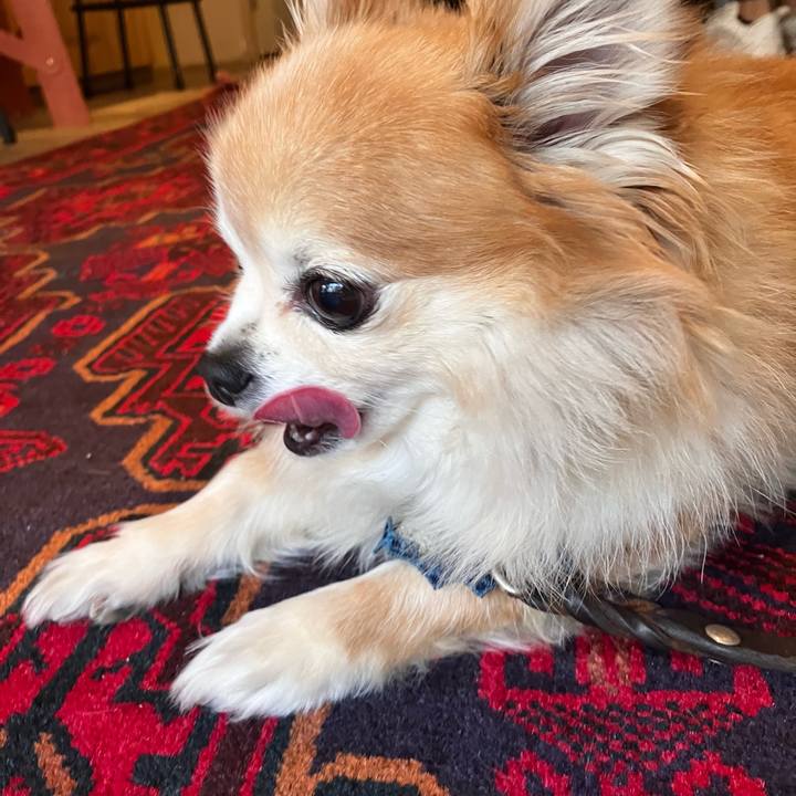 7a9b093c 69e3 485a 9595 a85f3abe6448 1764863027015