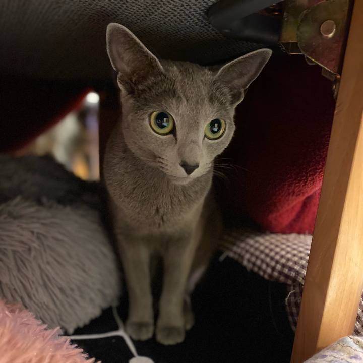 7a9b8327 abeb 4a5e a921 5418543a5d41 1647471098271