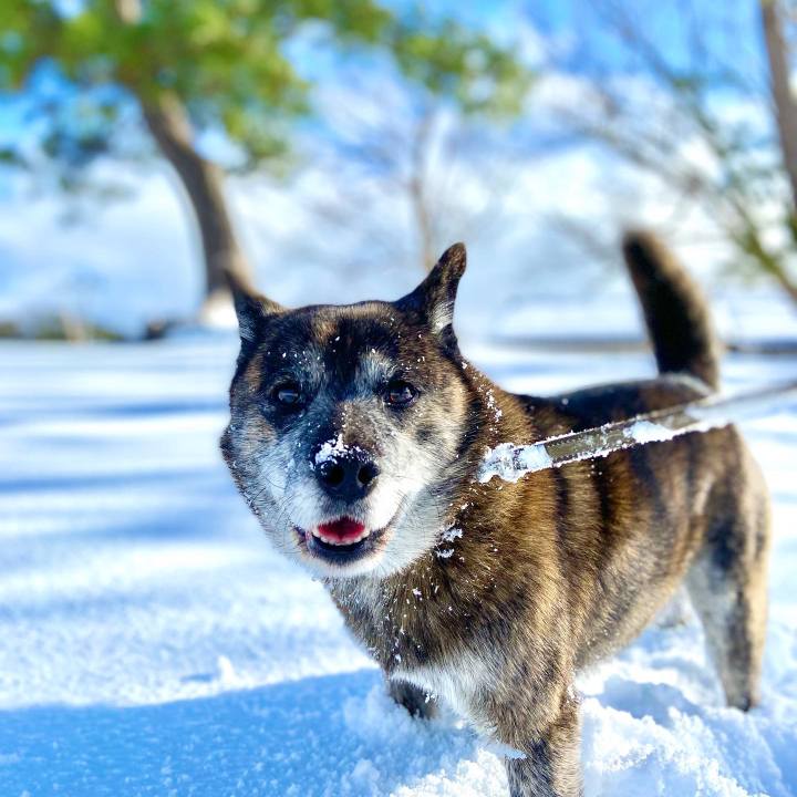 7a9b87f6 53f6 4967 b2d1 757ab210ca36 1642747700322