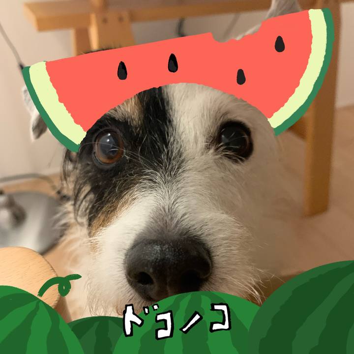 7a9b9f70 dd7c 4aeb a90a 32a6b9eb2e51 1720756839054