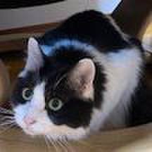 7a9bf4ae 6700 45f1 a940 d520cf4b64be 1605745304031