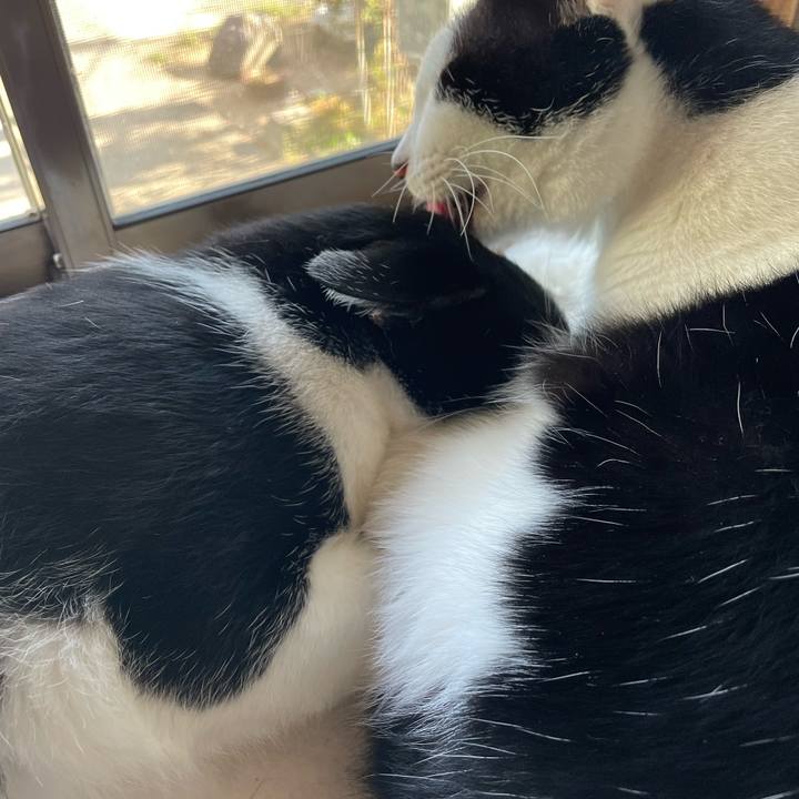 7a9c0877 0709 4718 ae34 f093389972cb 1727080467458