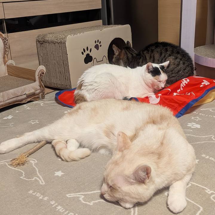 7a9c0e70 8974 419a ab31 fe02bacac414 1770208891552