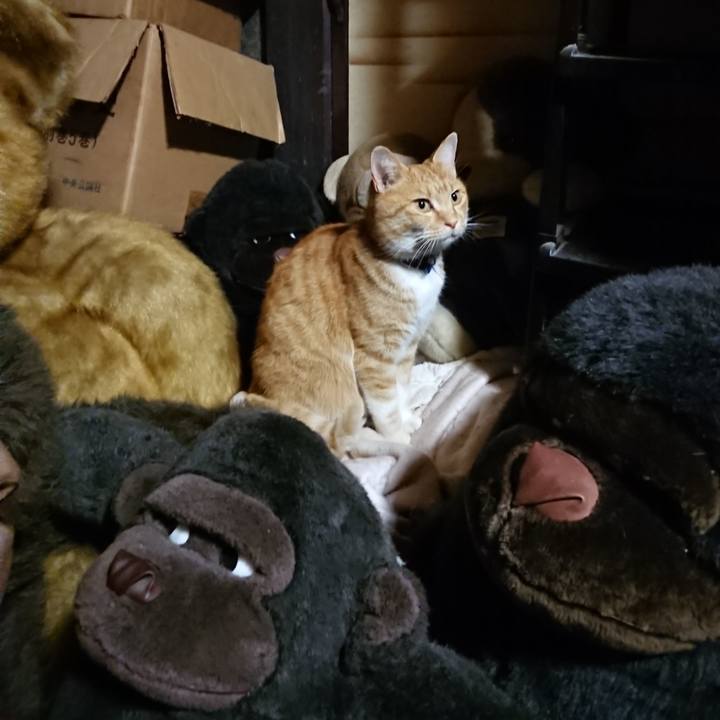 7a9c18f4 b6f5 49a0 8491 1c147a62d863 1605785576077