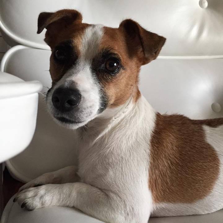 7a9c326f bfff 4375 9c2a 0ad7da2add88 1665706834159