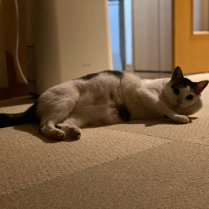 7a9c3305 3150 4385 b2fe 3a4cbc5a929f 1773586053540