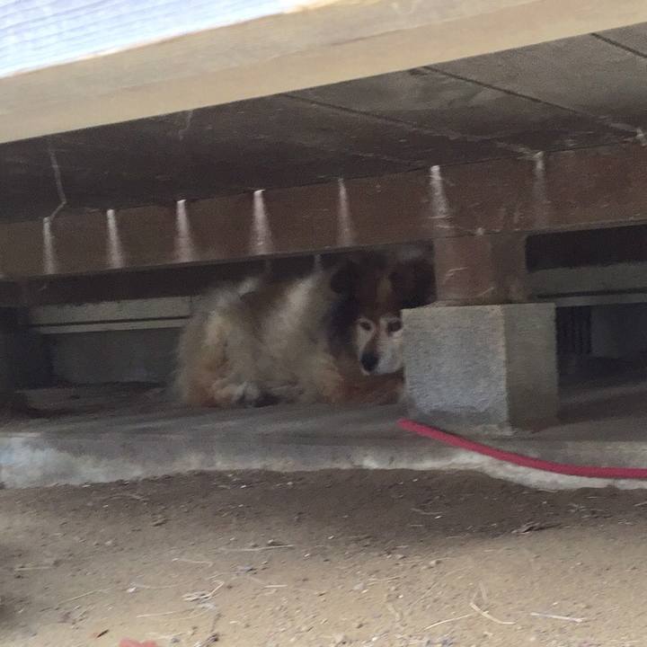 7a9c8d90 a6cc 41e2 abb2 60caaf8202fc 1559262116655