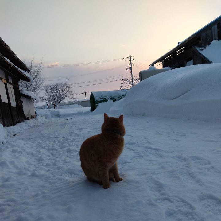 7a9ca105 93c4 4575 80f0 3711c96cd246 1675203672709