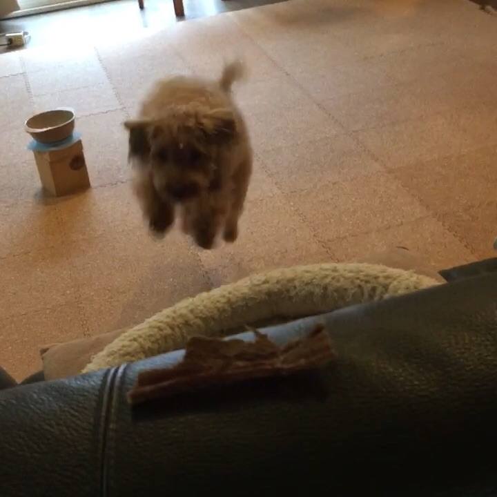 7a9ca3b7 ddb3 4509 b51a fb9410212f15 1523400218647