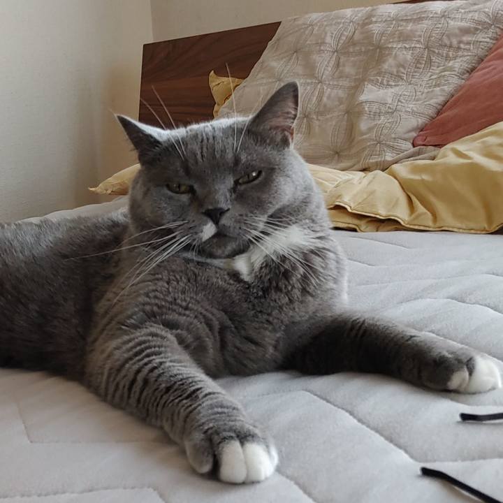 7a9caf00 0373 44c0 9ced b09b68d2b821 1630116963819