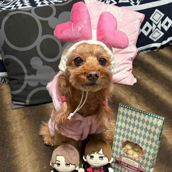 7a9cc82f 1c63 4a9c 86d9 4d21b65246d6 1768813156865