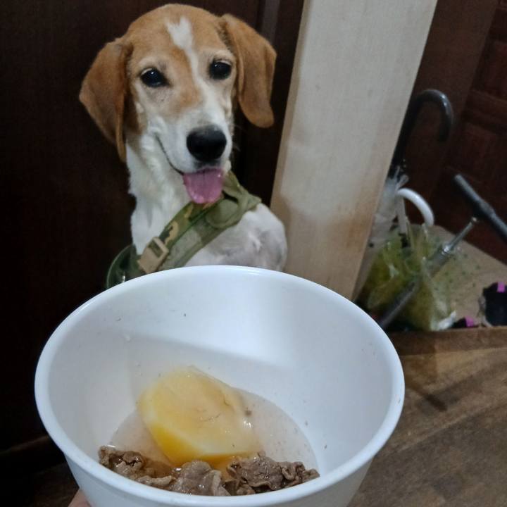 7a9cdbd1 201a 4791 ac99 a12a1336866d 1754396444459