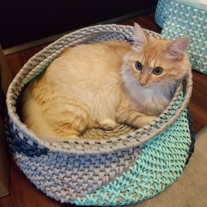 7a9ce6a1 e600 41d1 ab32 0ca6664a3918 1625612539613