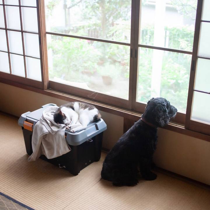 7a9d0702 6fc1 450e aeef 6e7c195c5589 1597405743264