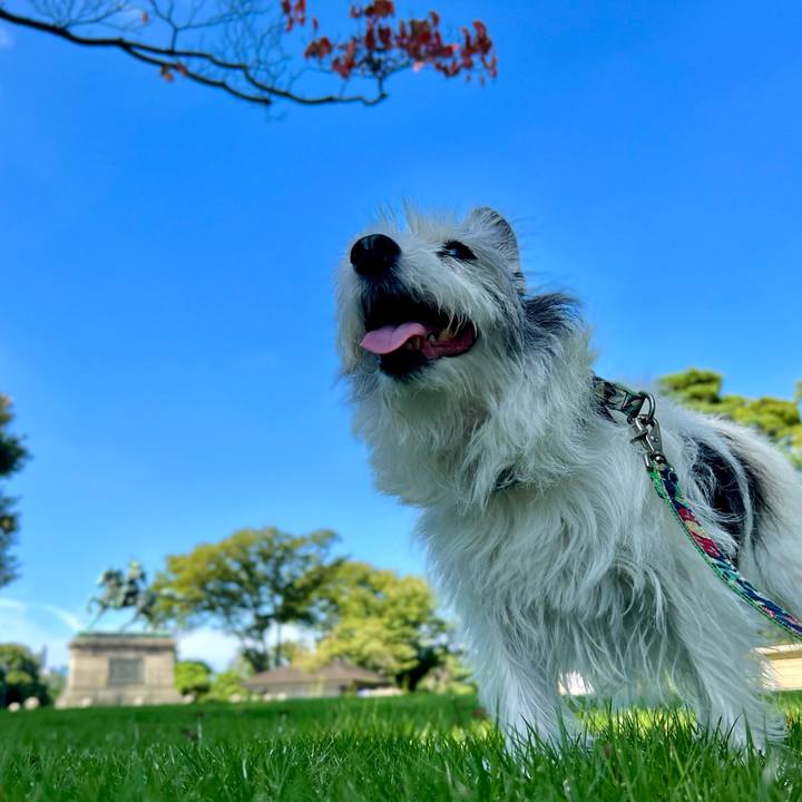 7a9d874e ad6e 4cbb bb7c 2e6383f18f29 1672497360052