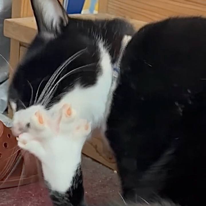 7a9d876e 8563 49cd b7f5 57002a60e018 1761965174365