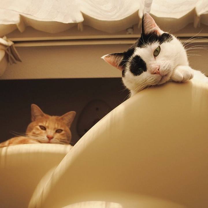 7a9dd0d2 6f76 4914 9ed4 4426ed653c7f 1608734829382