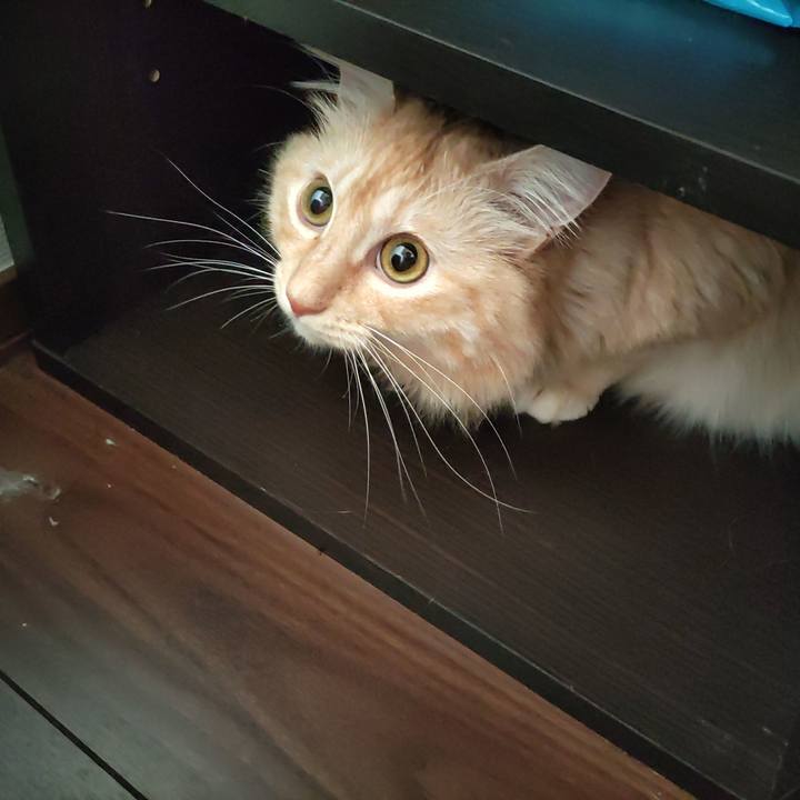 7a9deaf9 4763 4bf4 9f4d 96781a27d805 1661555355762