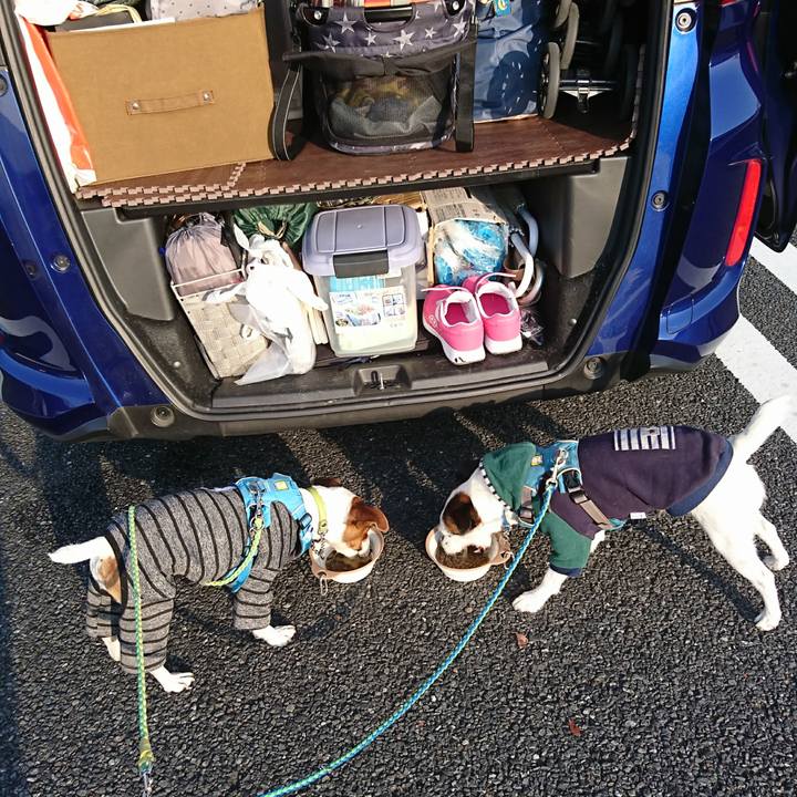 7a9df7b5 c30c 42c4 adf5 56bf9208c835 1606433178520