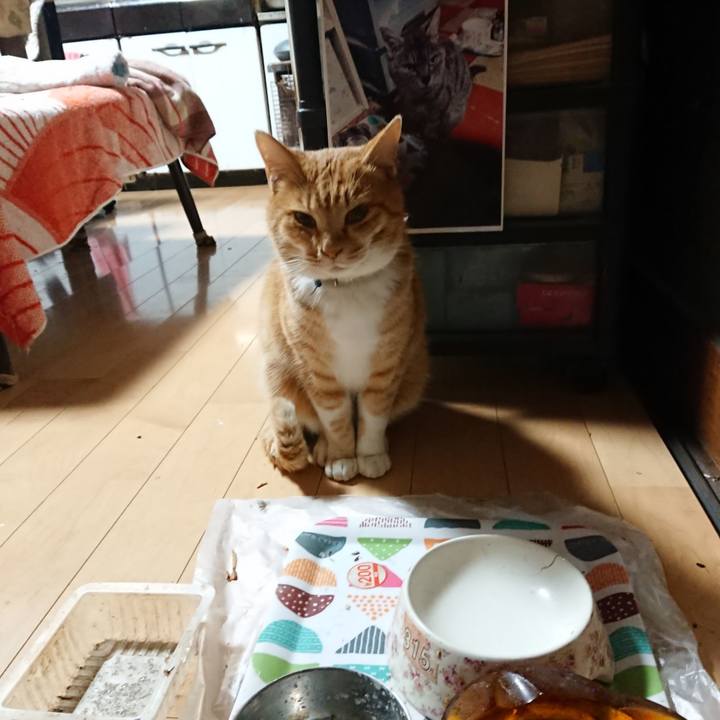 7a9dfbe4 8e39 450e 8e44 0a70ea806d32 1607456972906