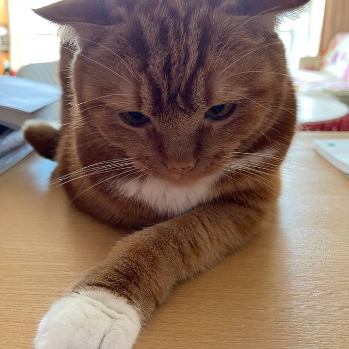 7a9e39b6 49d7 4cce 9aeb 81673201ec4e 1665807619087