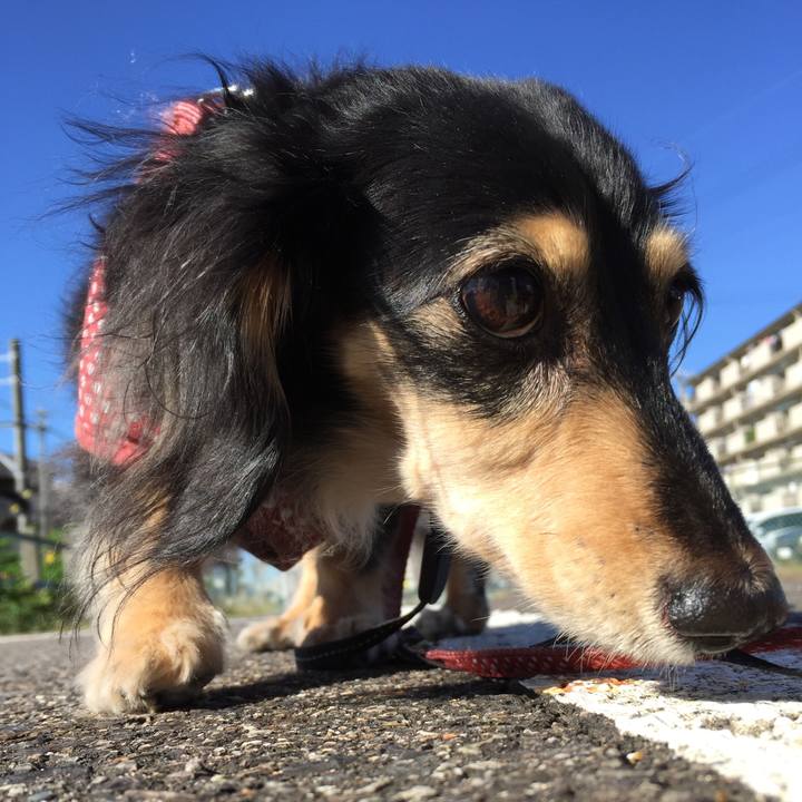 7a9e74ad 3c23 4a23 a49d 4a0cfb40ec54 1572394992188