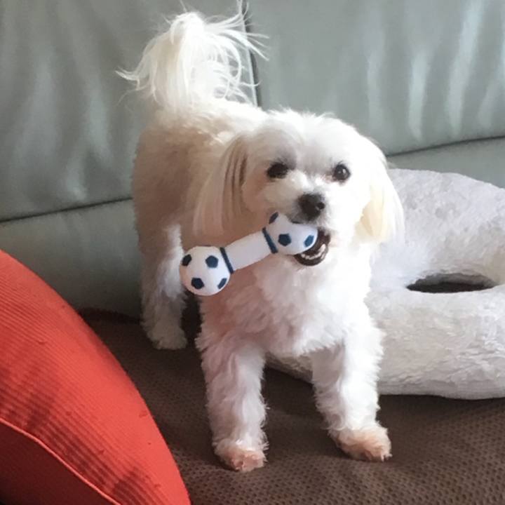 7a9ec8d1 03ea 4605 aaeb 7f952d6ff309 1521864767589