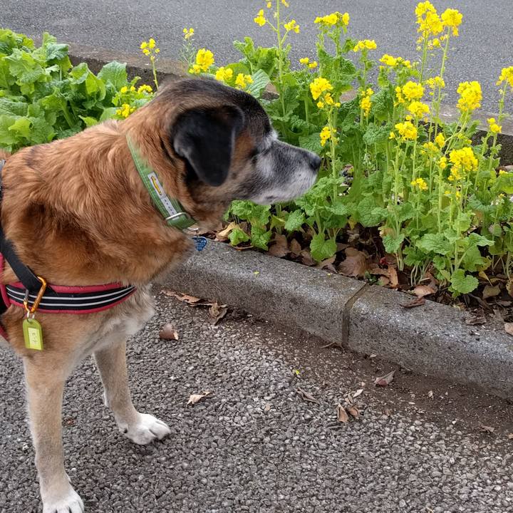 7a9ed1ca f09f 4893 a3e4 0cf99b8acc8b 1545868257741