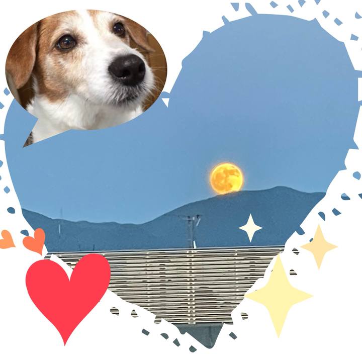 7a9efc21 42f1 4493 adef ee63154eeca3 1718966388183