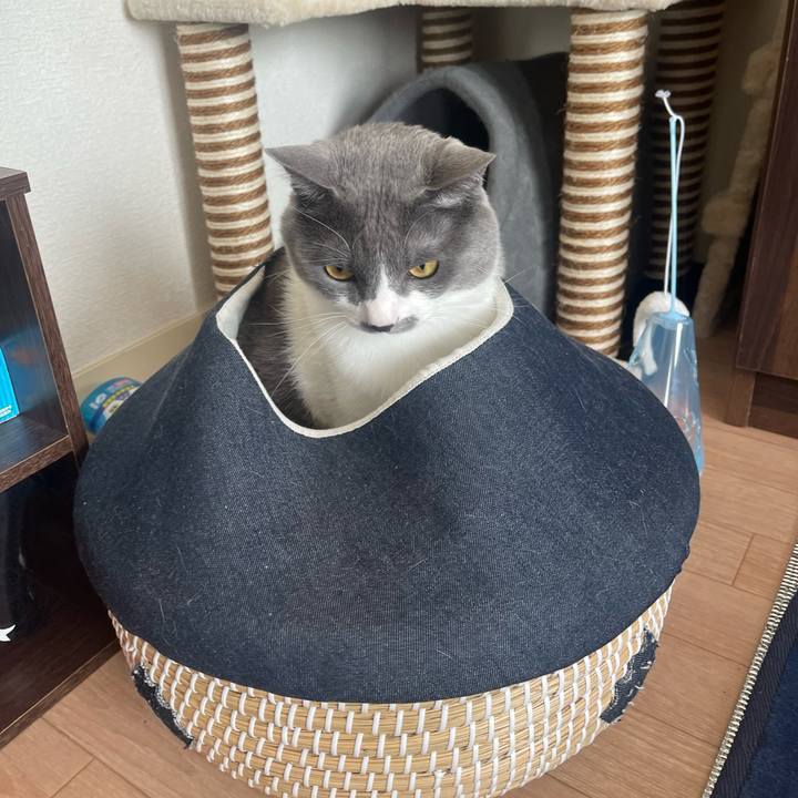 7a9f40a9 deca 4e6e bcce dfb3df1ef43a 1672459836208