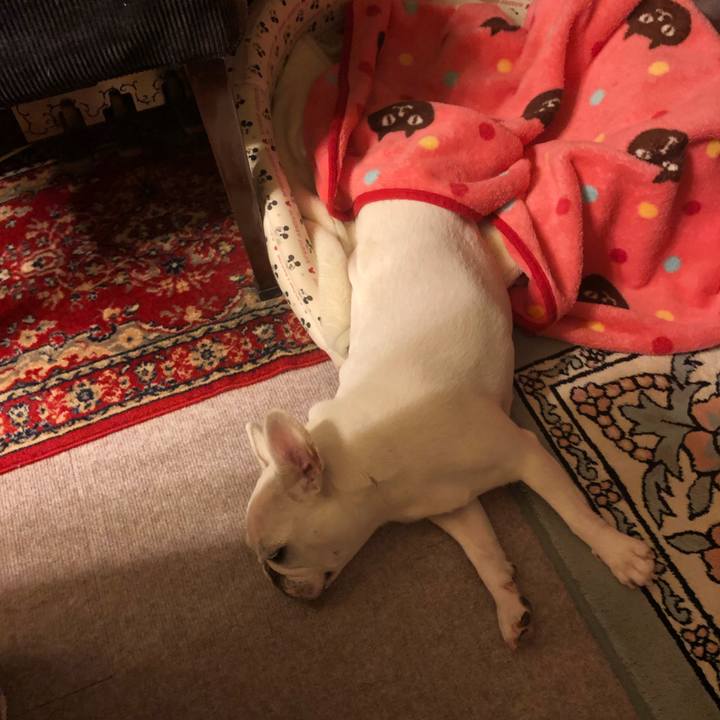 7a9f609f dd22 4306 9d87 1524ded51fa4 1633869831768