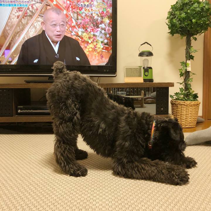 7a9f68ff ae0b 44ce b914 c8b2260e15ee 1546425588707