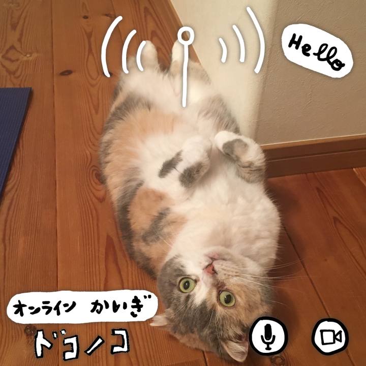 7a9f9375 9356 4091 81f5 d334bc4ccde9 1590716589181